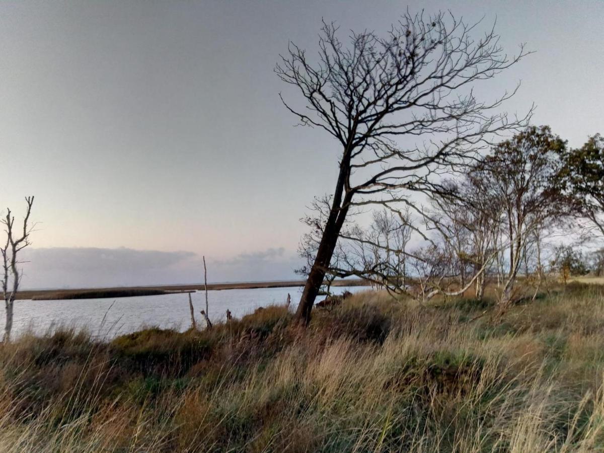Haus Meererleben - Urlaub Mit Hund An Der Nordsee Schweiburg Dış mekan fotoğraf